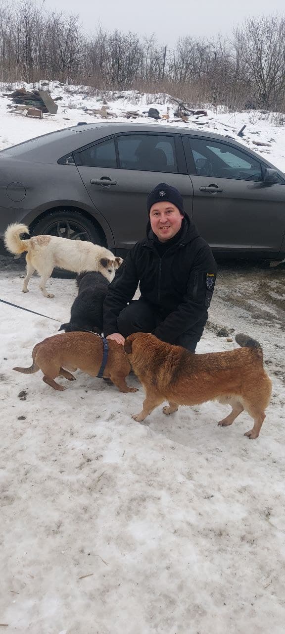 Tier, das ein Zuhause gefunden hat #2