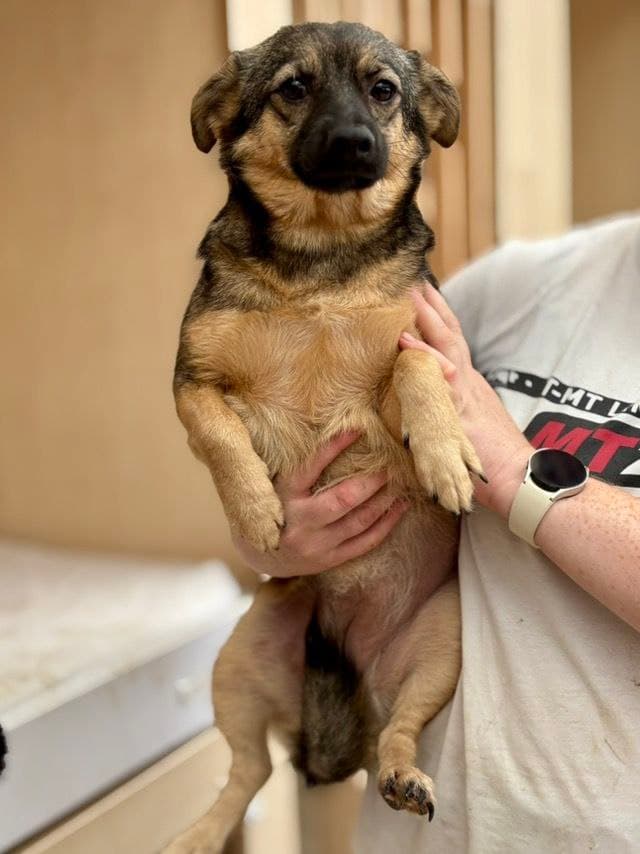 Tier, das ein Zuhause gefunden hat #4