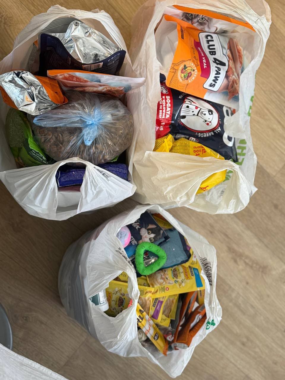Kindergarten No. 547, together with children, parents, and staff, joined in collecting food and treats for shelter animals as part of animal care classes.