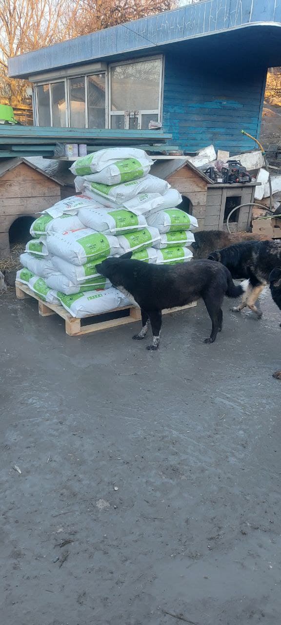 Photo from SOS shelter gathering #4