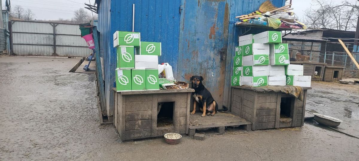 Photo from SOS shelter gathering #2