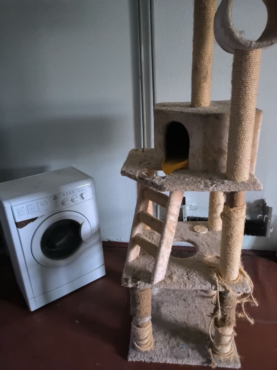 Photo from SOS shelter gathering #11