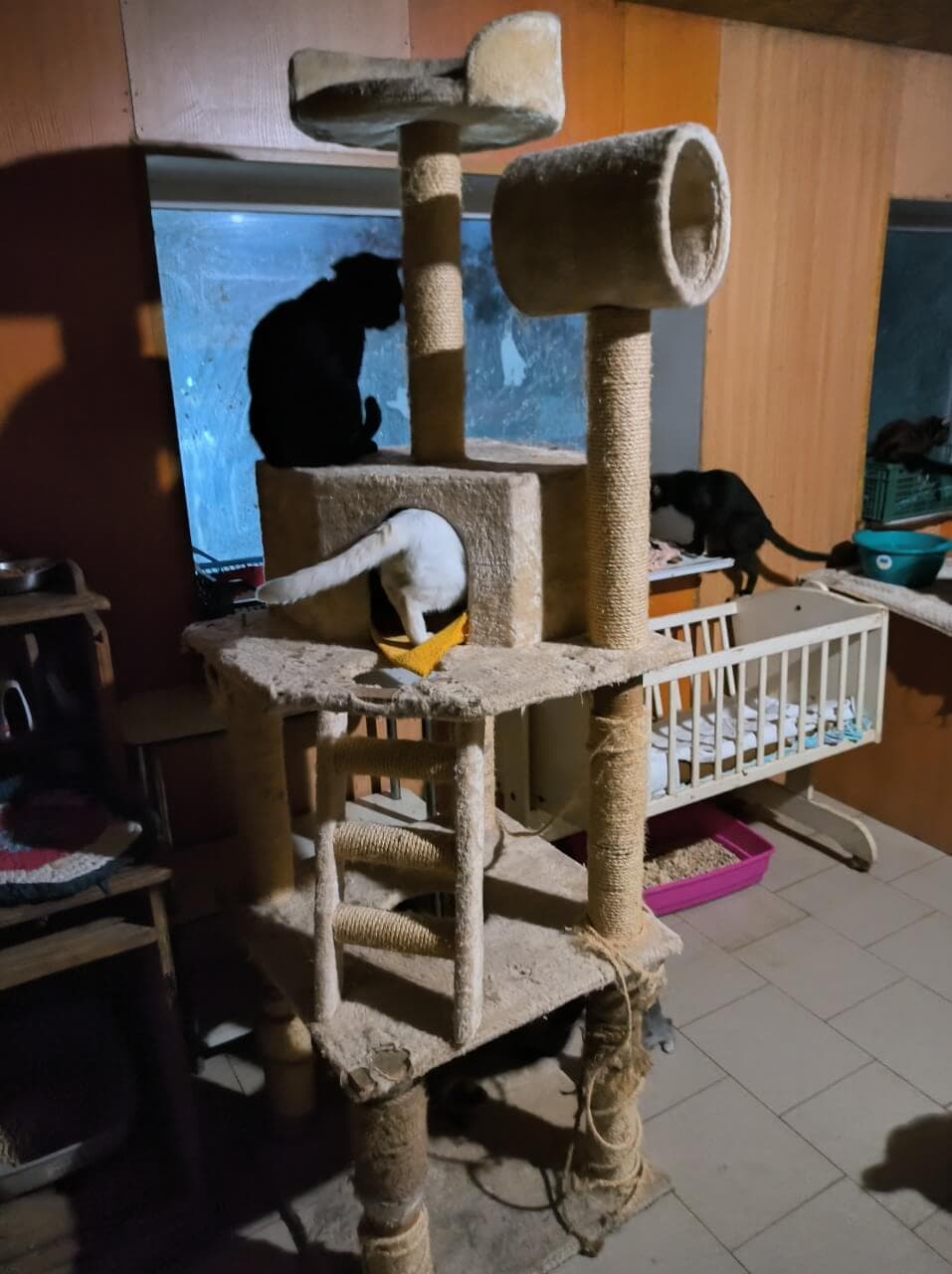 Photo from SOS shelter gathering #12