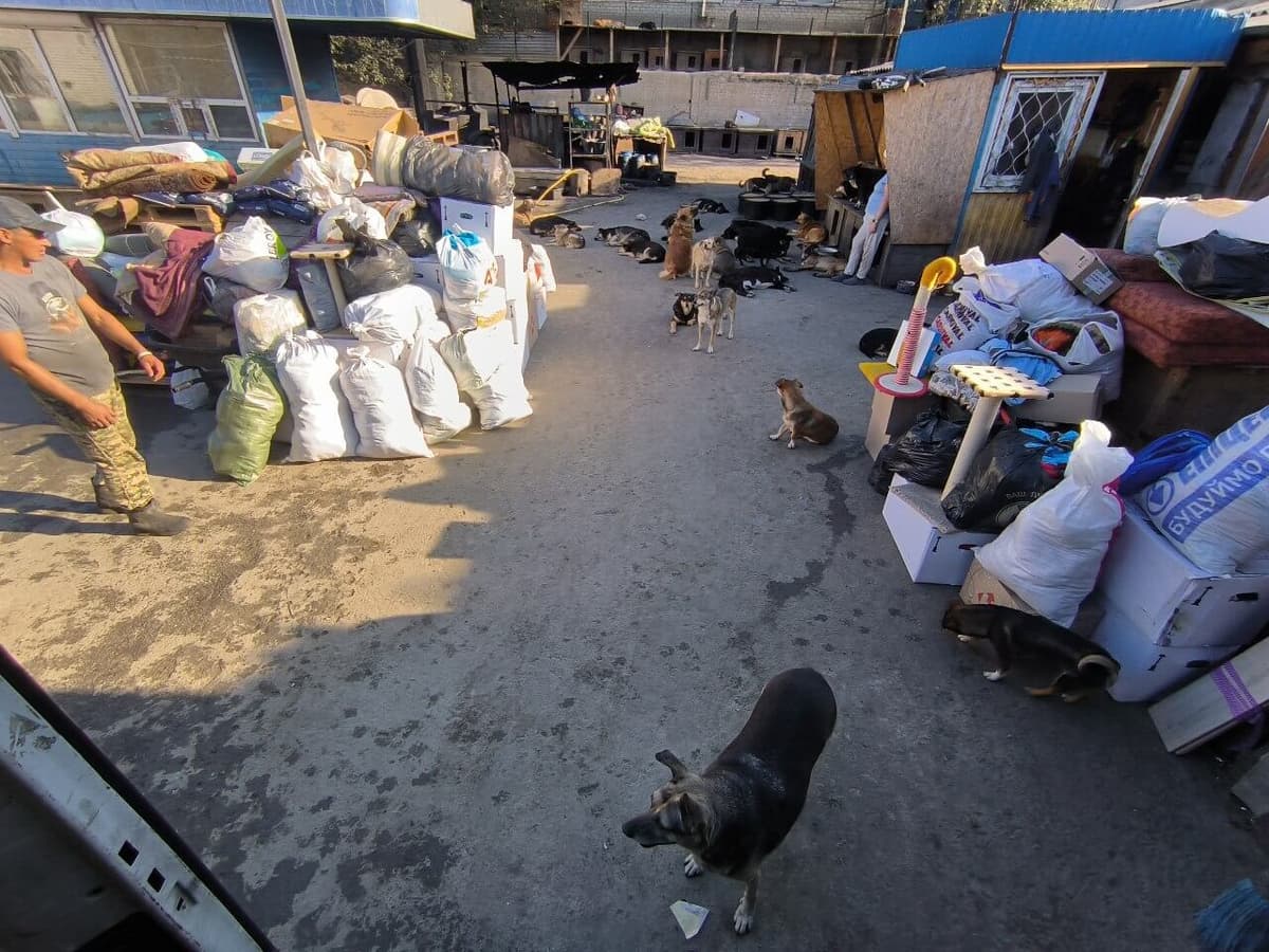 Photo from SOS shelter gathering #25