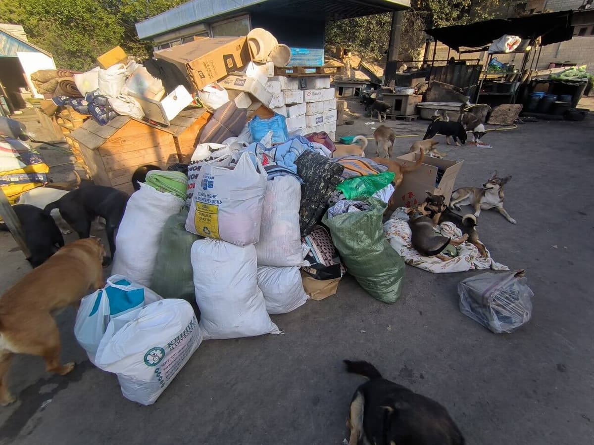 Photo from SOS shelter gathering #27