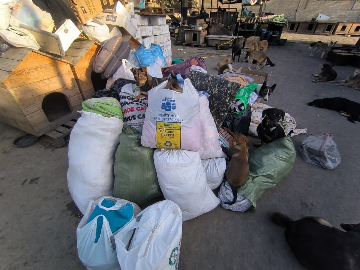 Photo from SOS shelter gathering #28