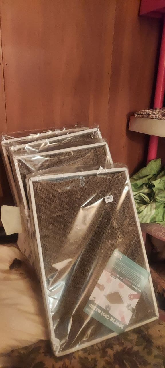 Photo from SOS shelter gathering #29