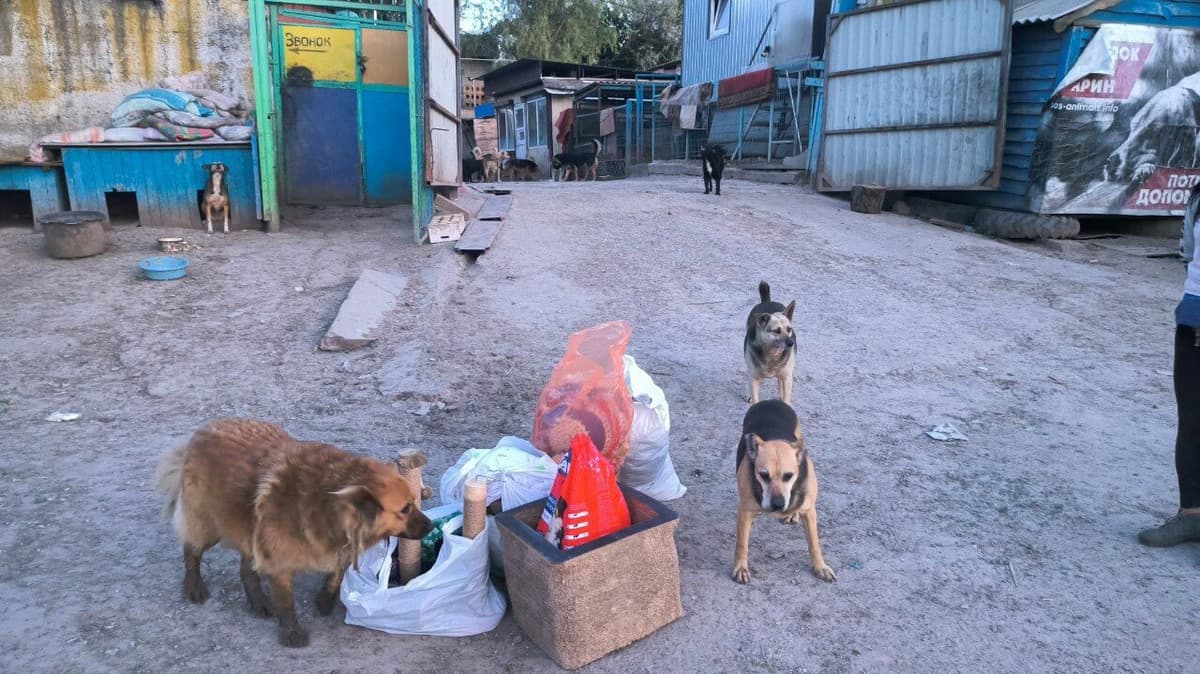 Photo from SOS shelter gathering #41