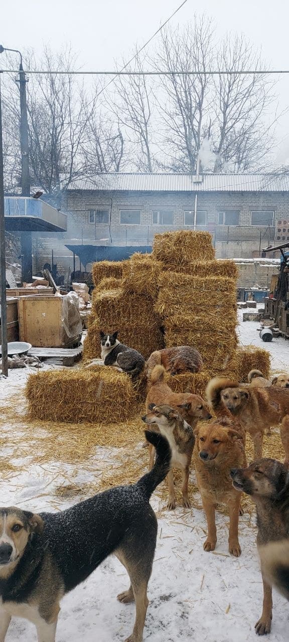 Photo from SOS shelter gathering #42