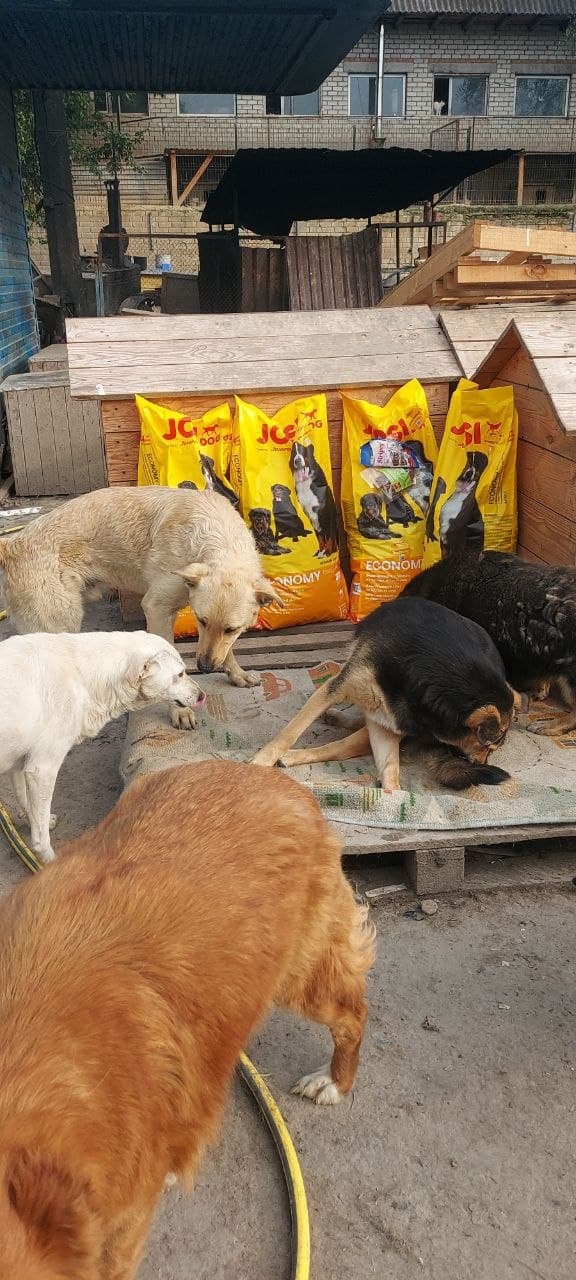 Photo from SOS shelter gathering #43