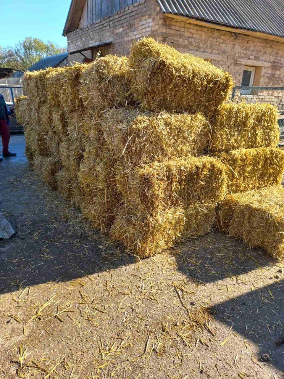 Photo from SOS shelter gathering #44